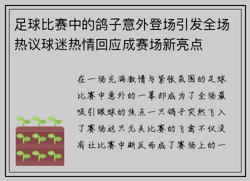 足球比赛中的鸽子意外登场引发全场热议球迷热情回应成赛场新亮点