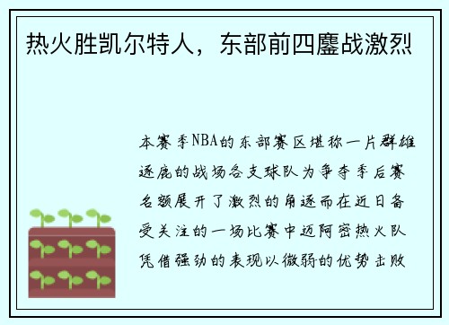 热火胜凯尔特人，东部前四鏖战激烈